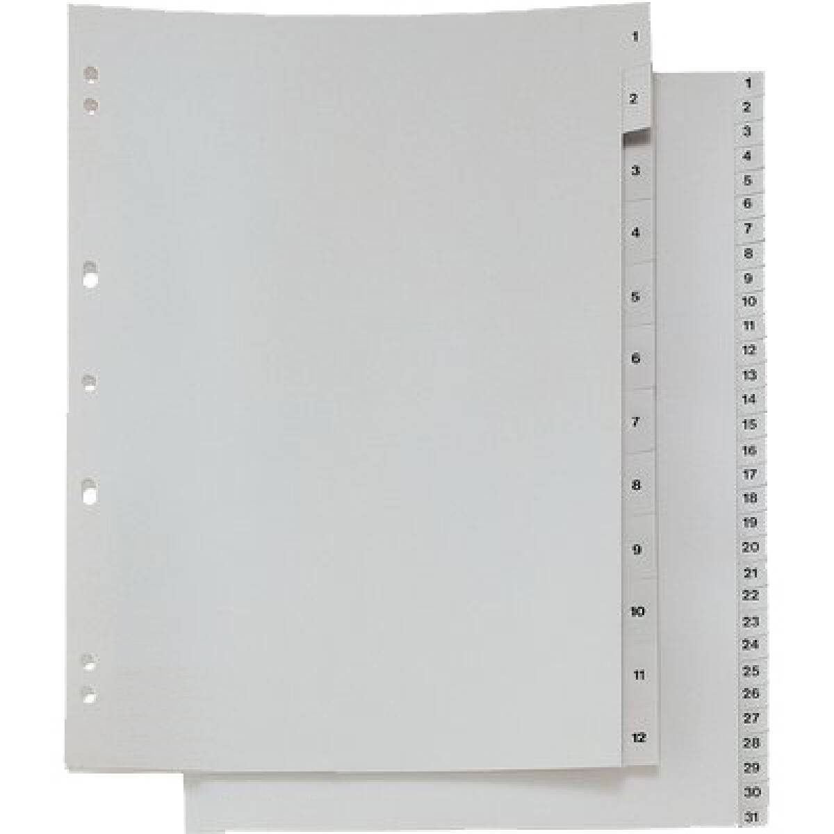 SEPAR.PVC RUBRICA NUMER.1/31 A4