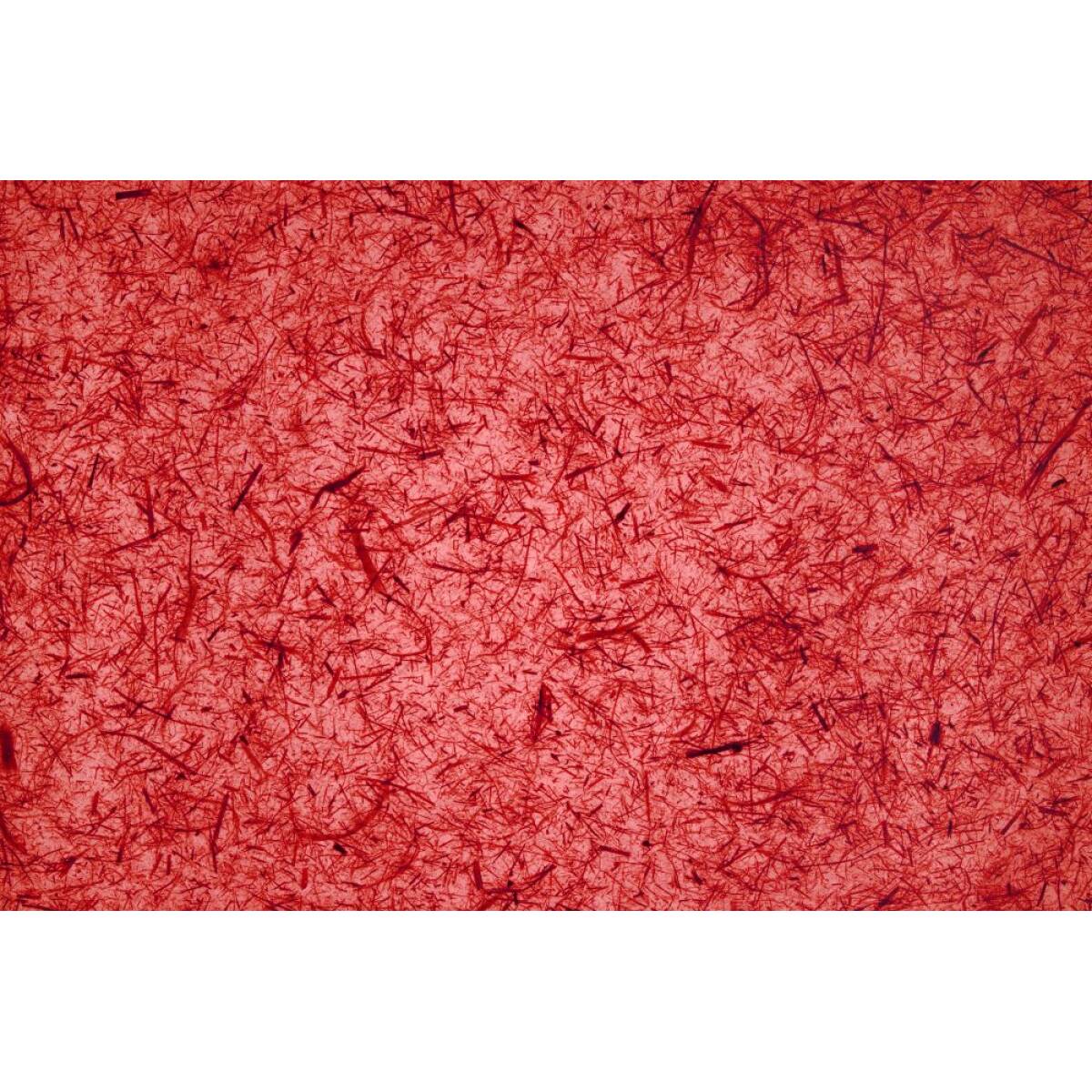 CARTA RISO 50X70 5FG ROSSO