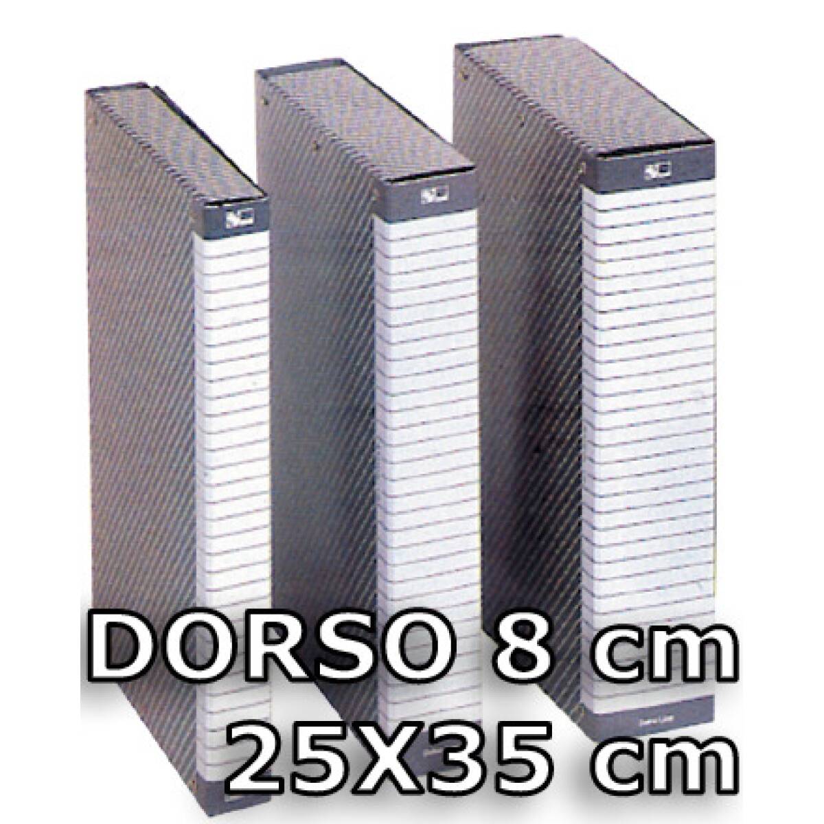 CART.PORTAPROG.3 BOTTONI DELSOLINE C08 c