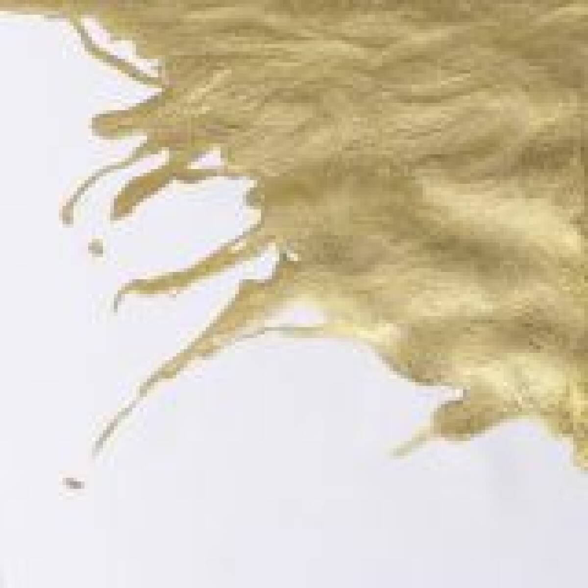 INCHIOSTRO DI CHINA ORO