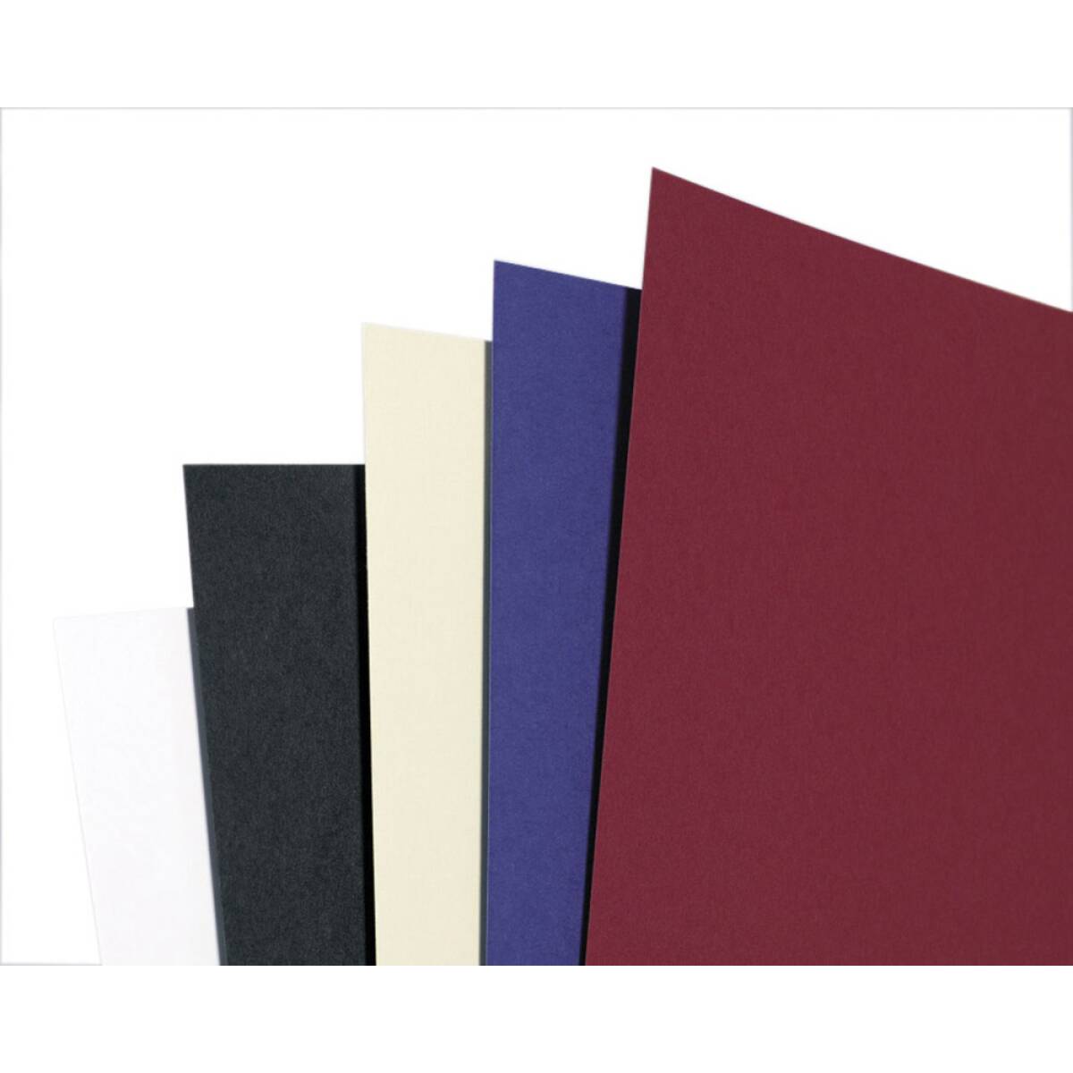 CARTONCINO VEGA 21X297 BIANCO - 100PZ.