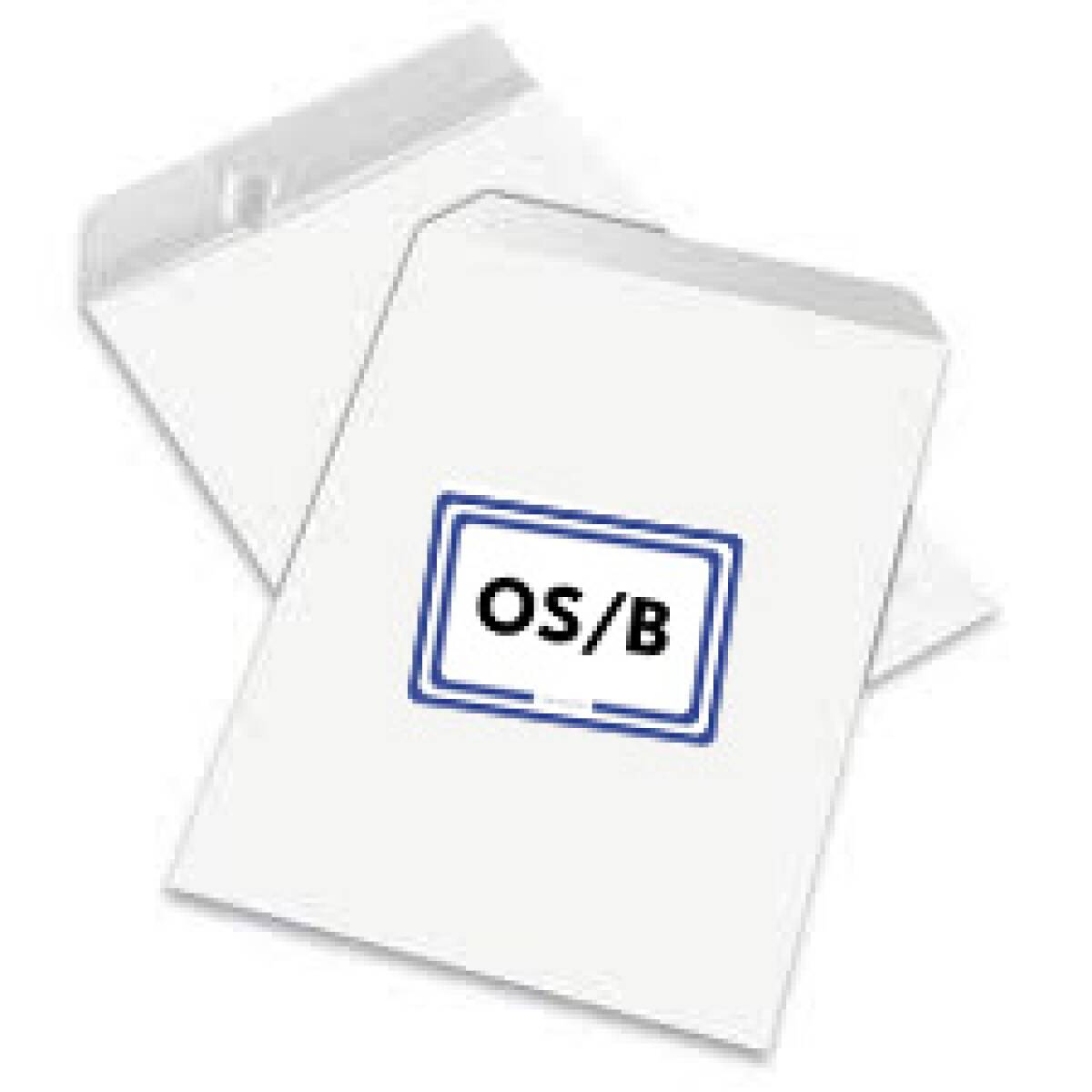 OFF.SPECIALE-BUSTA ELEZIONI TIPO B