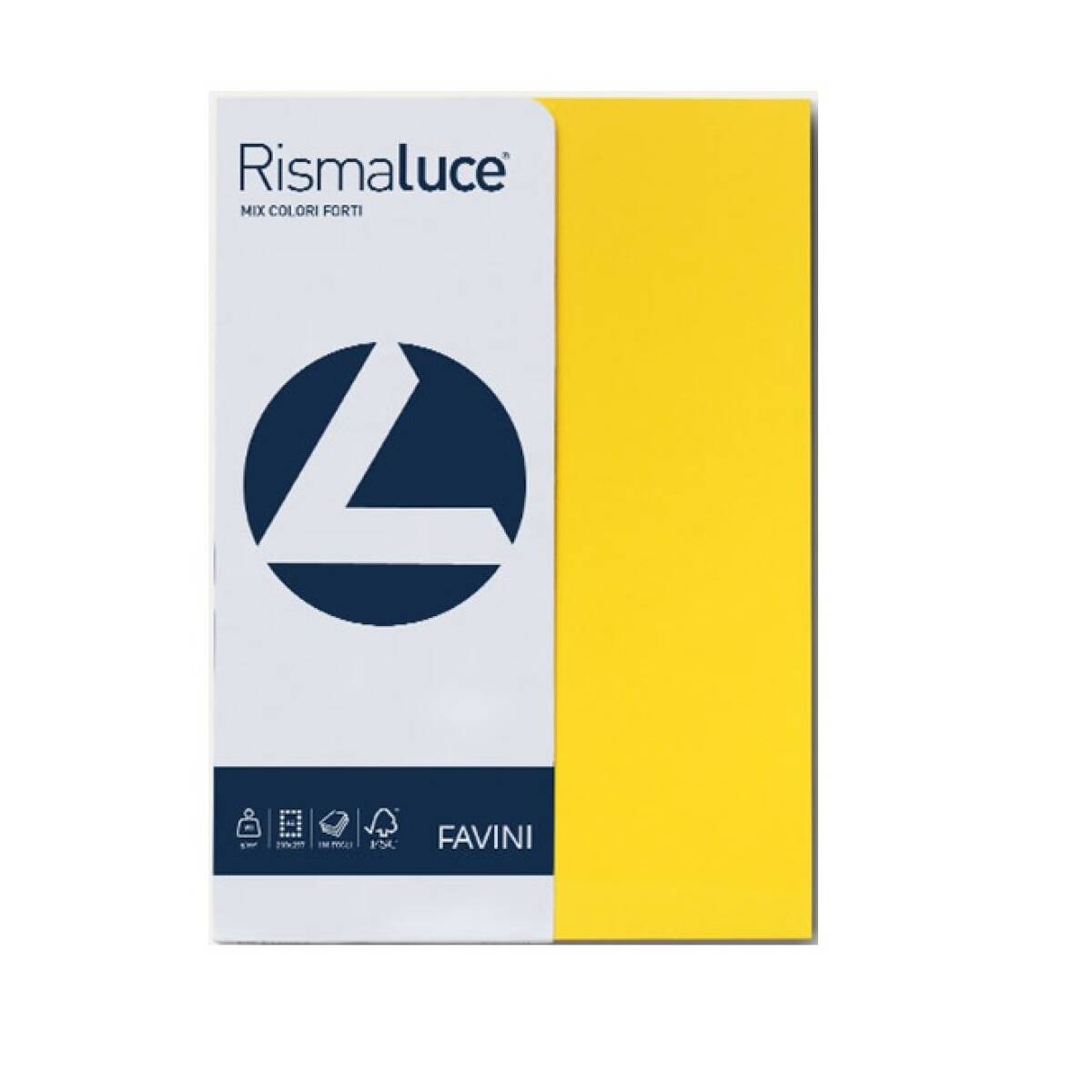 RISMALUCE GR 90 A4 FANT 5COL 100FG