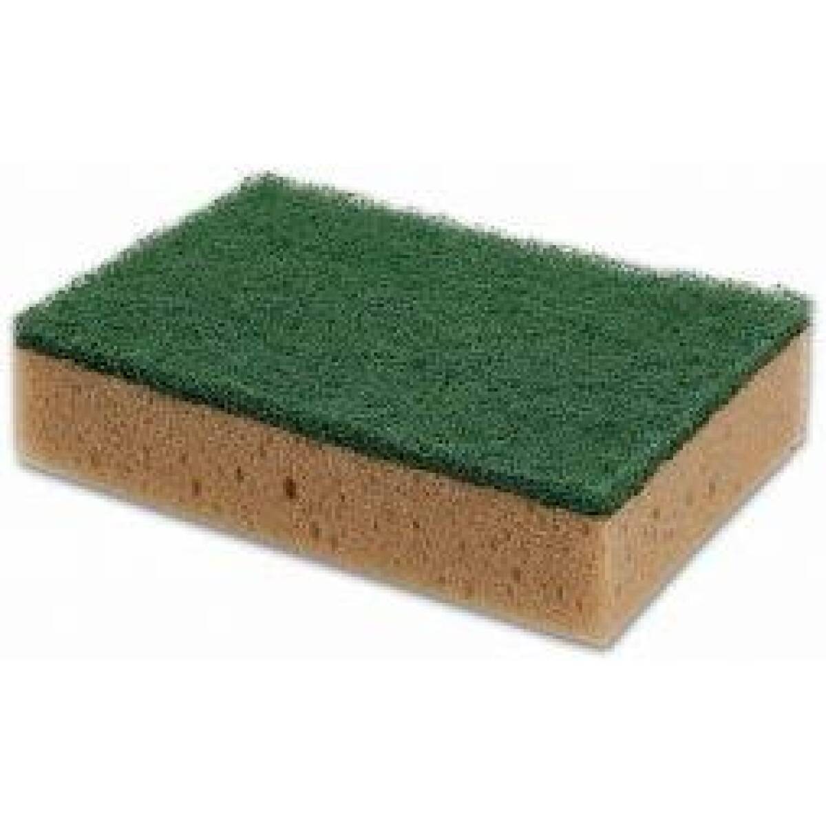 SPUGNA TABACCO+FIBRA VERDE - CONF 10 PZ