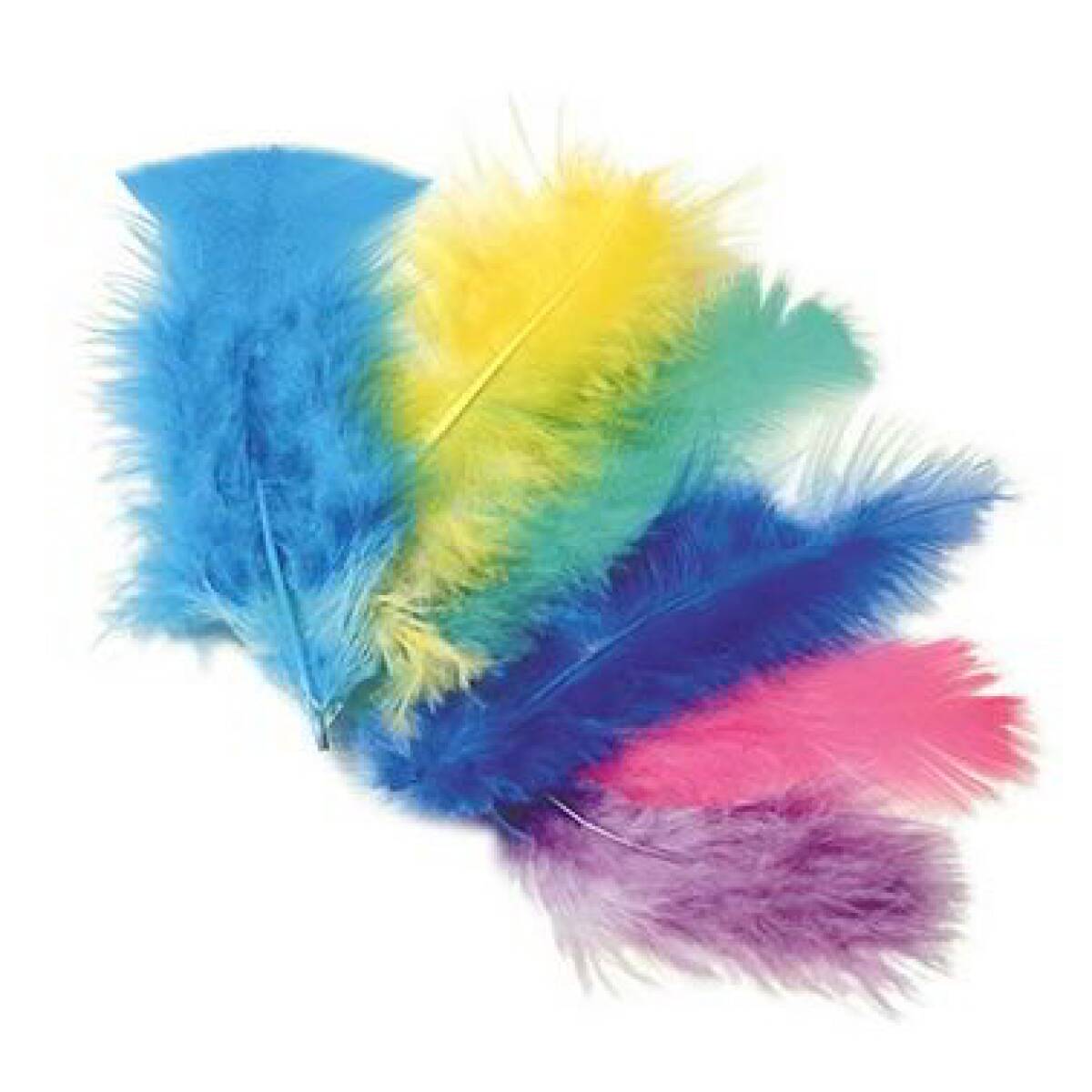 PIUME COLORATE CM15/16 10 GR. - 80 PZ.